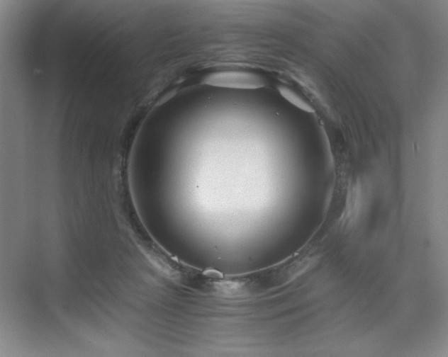 X0000076070265200609221204