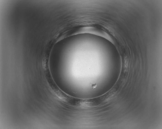 X0000076070268200609221204