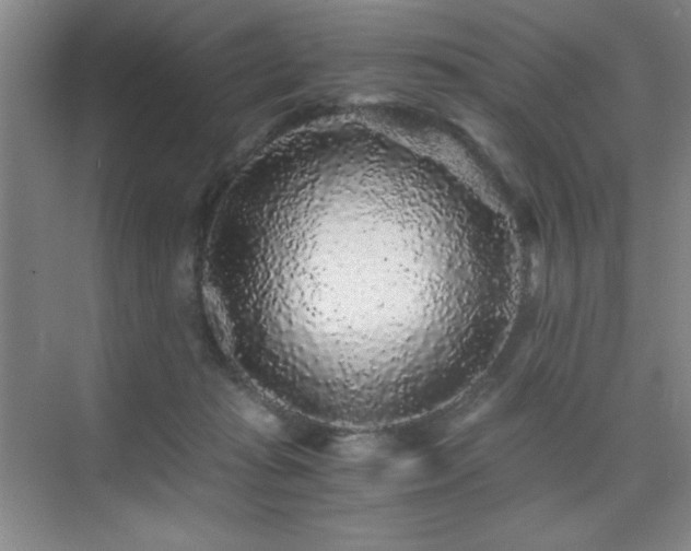 X0000076070269200609221204