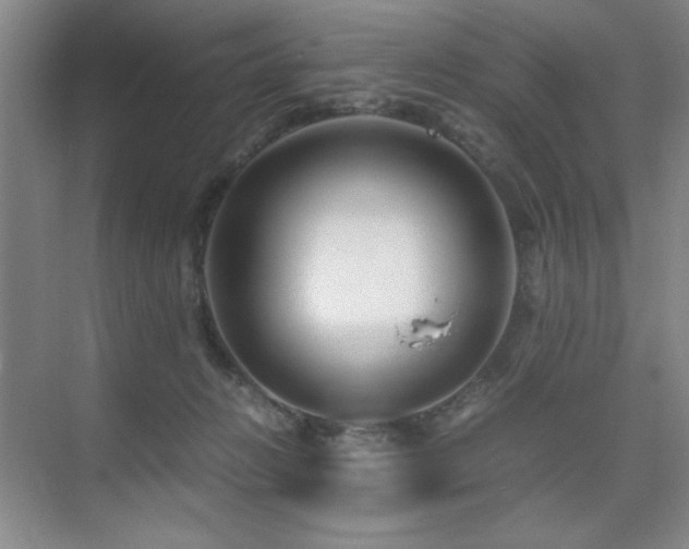 X0000076070270200609221204