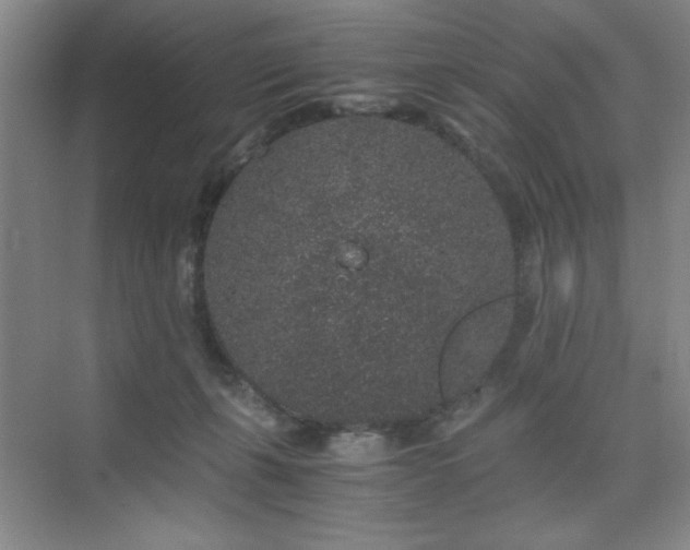 X0000076070271200609221204