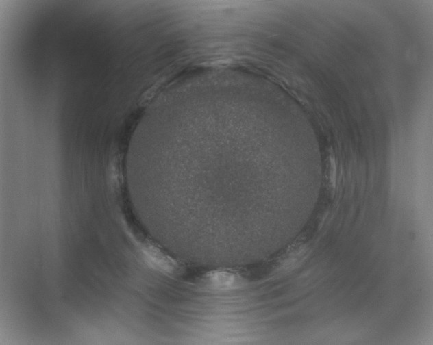 X0000076070272200609221204