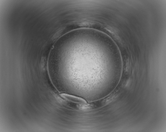 X0000076070273200609221204