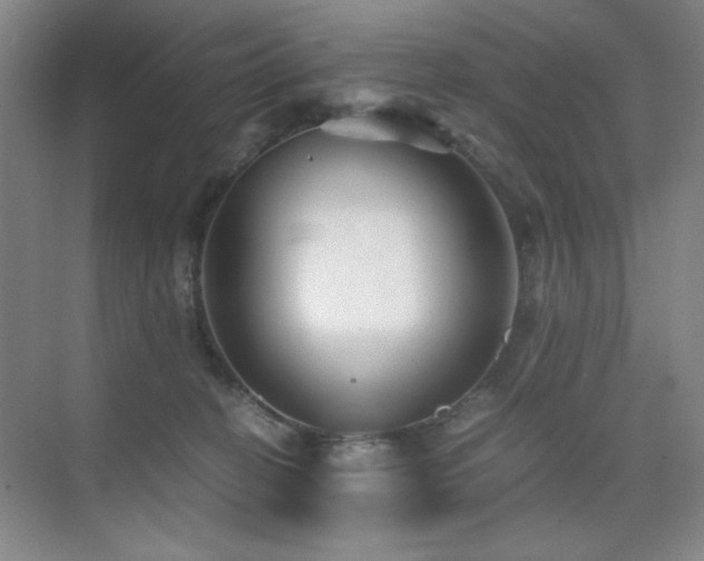 X0000076070274200609221204