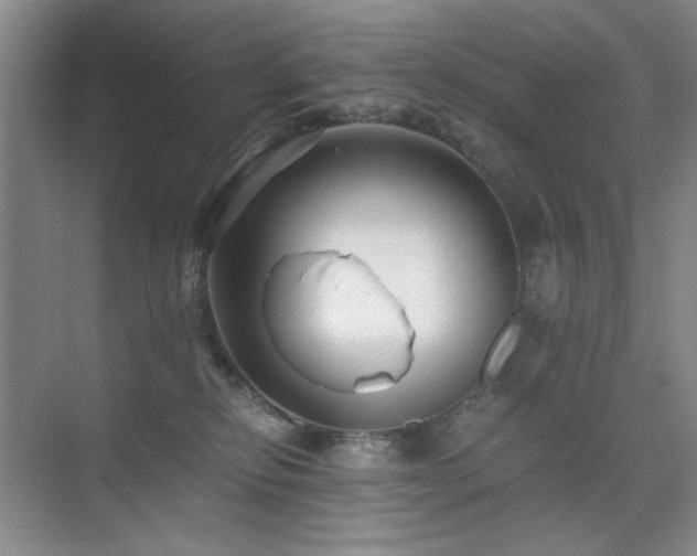 X0000076070278200609221204