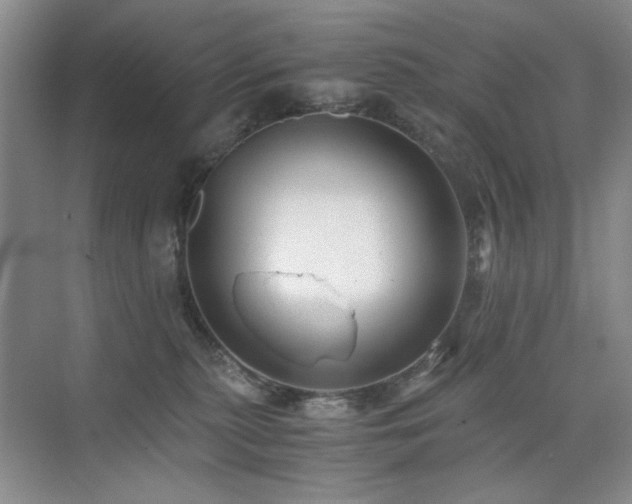 X0000076070279200609221204