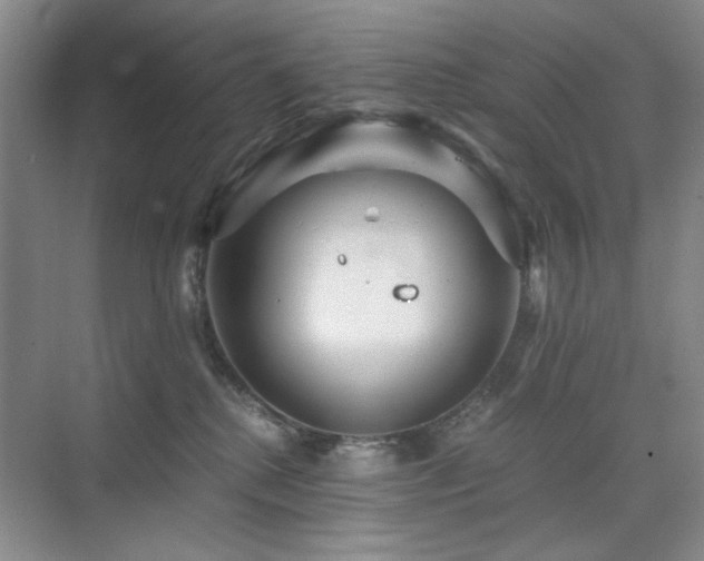 X0000076070280200609221204