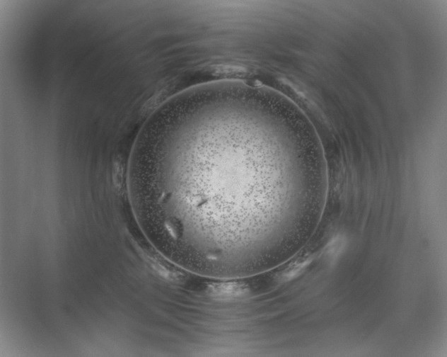 X0000076070281200609221204