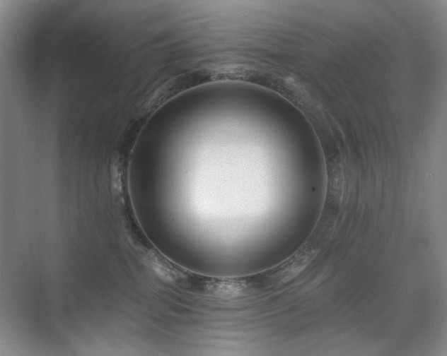 X0000076070282200609221204