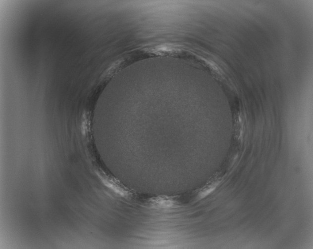 X0000076070284200609221204