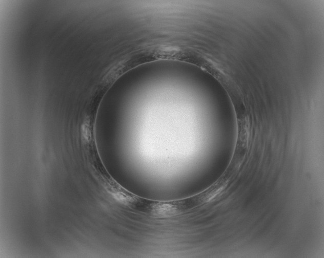 X0000076070287200609221204