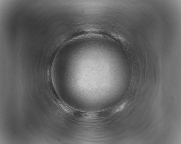 X0000076070288200609221204