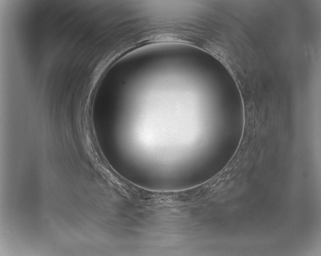 X0000076070289200609221204