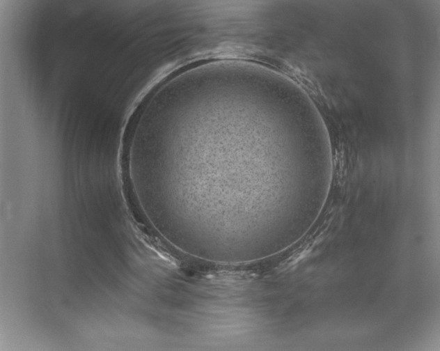 X0000076070292200609221203