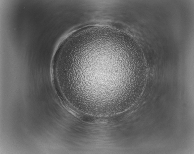 X0000076070294200609221203