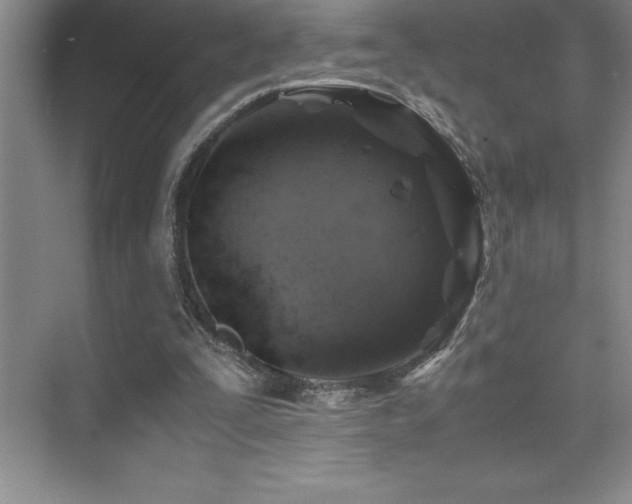 X0000076070295200609221203