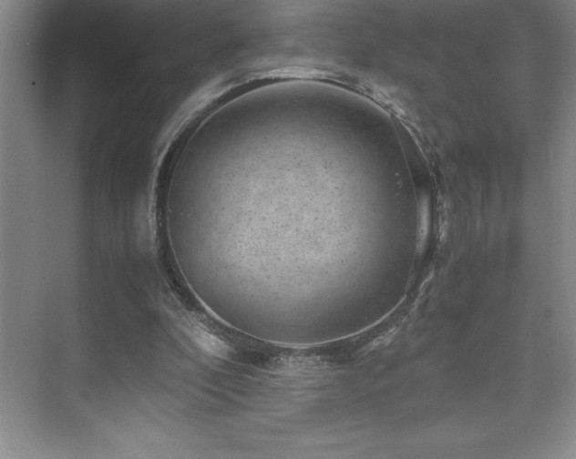 X0000076070296200609221203