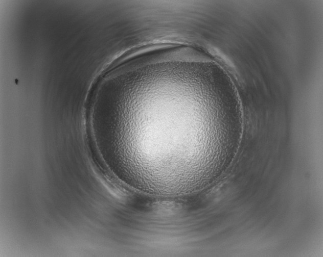 X0000076070298200609221203