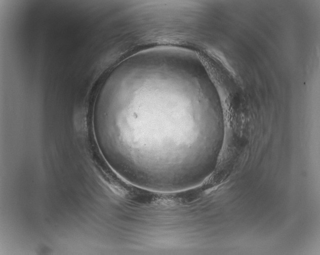 X0000076070299200609221203