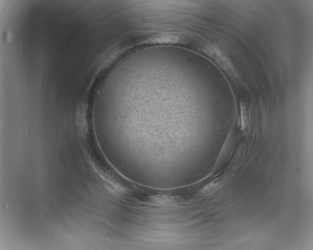 X0000076070300200609221203