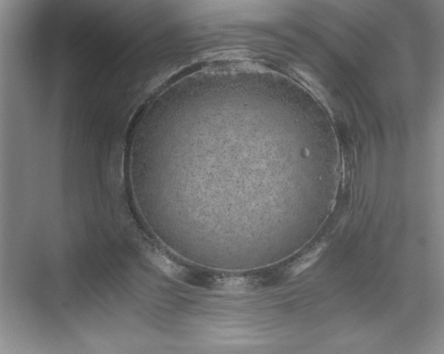 X0000076070301200609221203