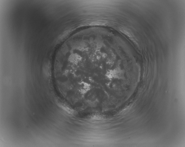 X0000076070303200609221203