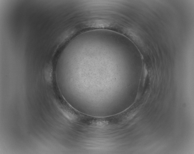 X0000076070304200609221203