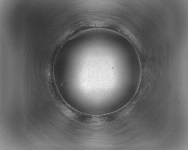 X0000076070305200609221203