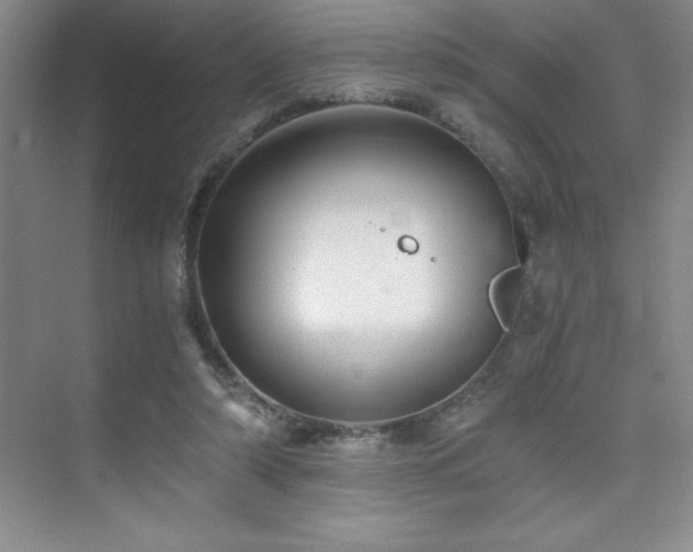 X0000076070306200609221203