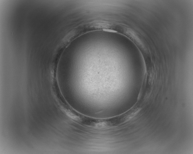 X0000076070309200609221203