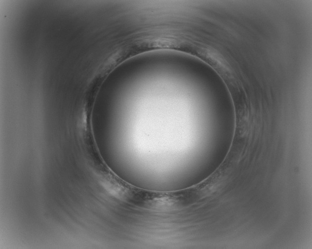 X0000076070310200609221203