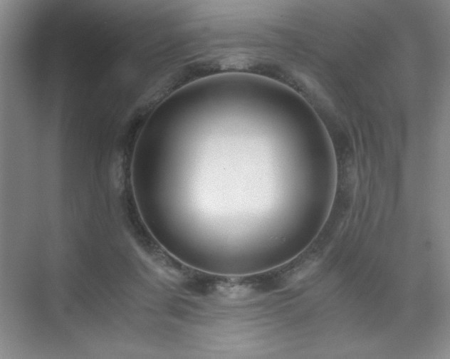 X0000076070311200609221203