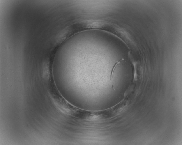 X0000076070312200609221203