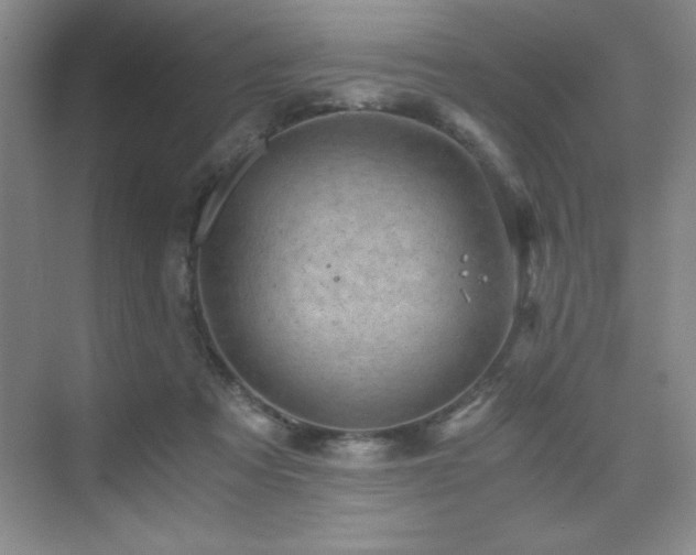 X0000076070313200609221203