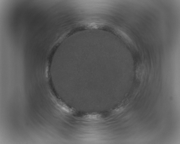 X0000076070314200609221203