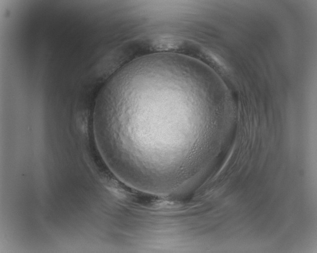 X0000076070315200609221203