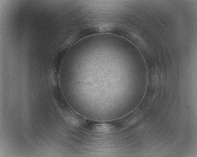 X0000076070316200609221203