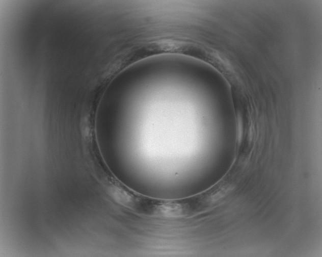 X0000076070317200609221203