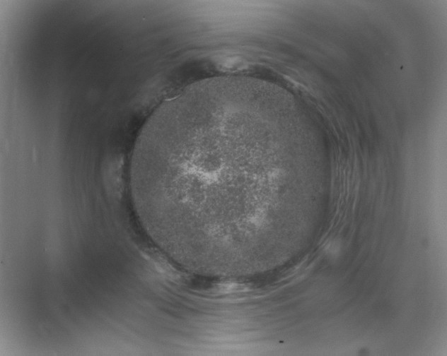 X0000076070319200609221203