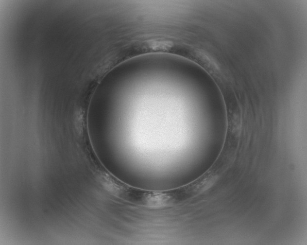 X0000076070321200609221203