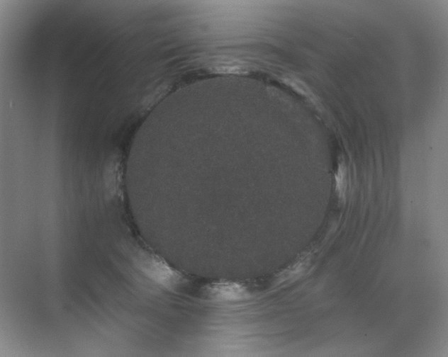 X0000076070322200609221203