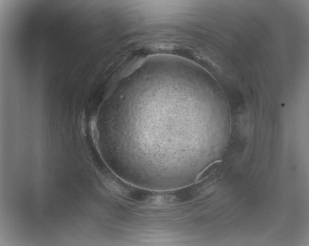 X0000076070323200609221203