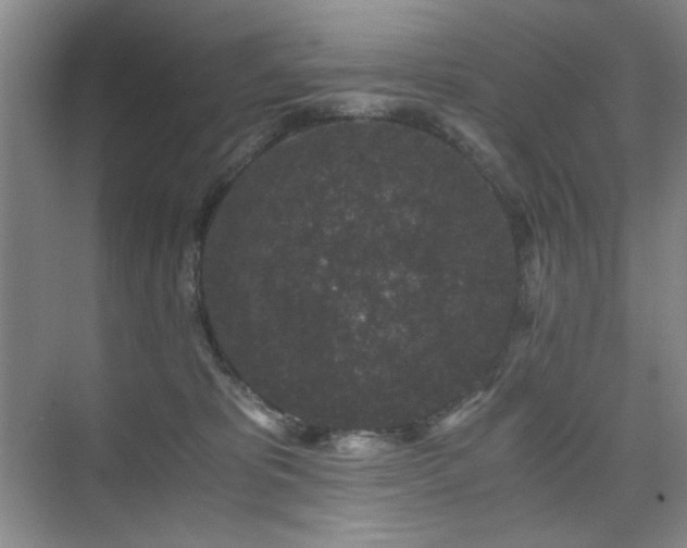 X0000076070325200609221203