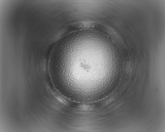 X0000076070326200609221203