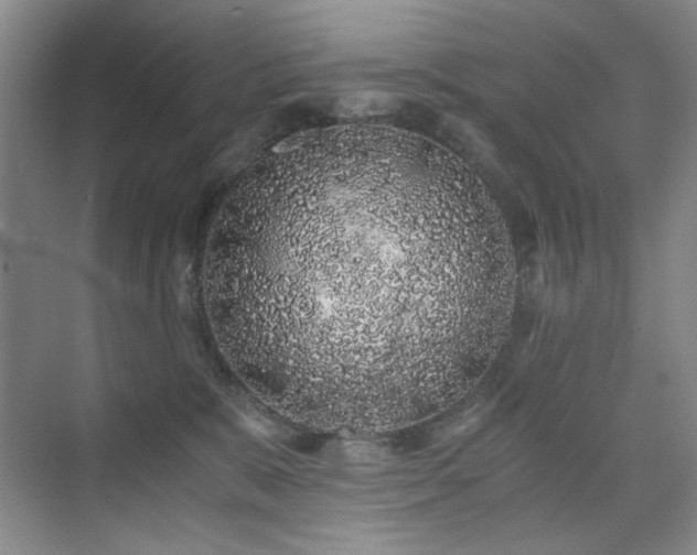 X0000076070327200609221203