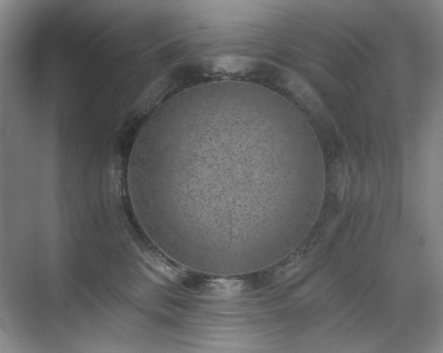 X0000076070328200609221203