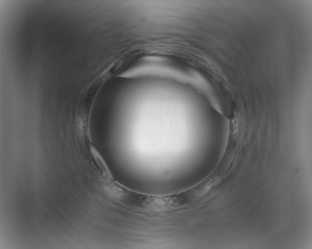 X0000076070329200609221203