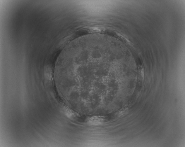 X0000076070331200609221203