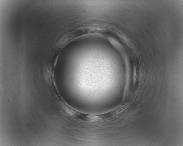 X0000076070333200609221203