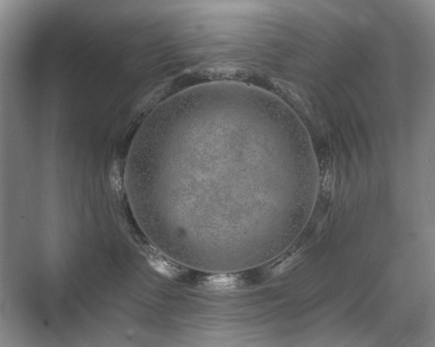 X0000076070335200609221203